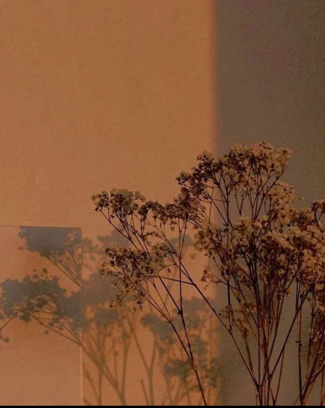 Nallie❤️ profile banner