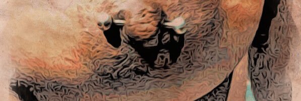 Zane profile banner