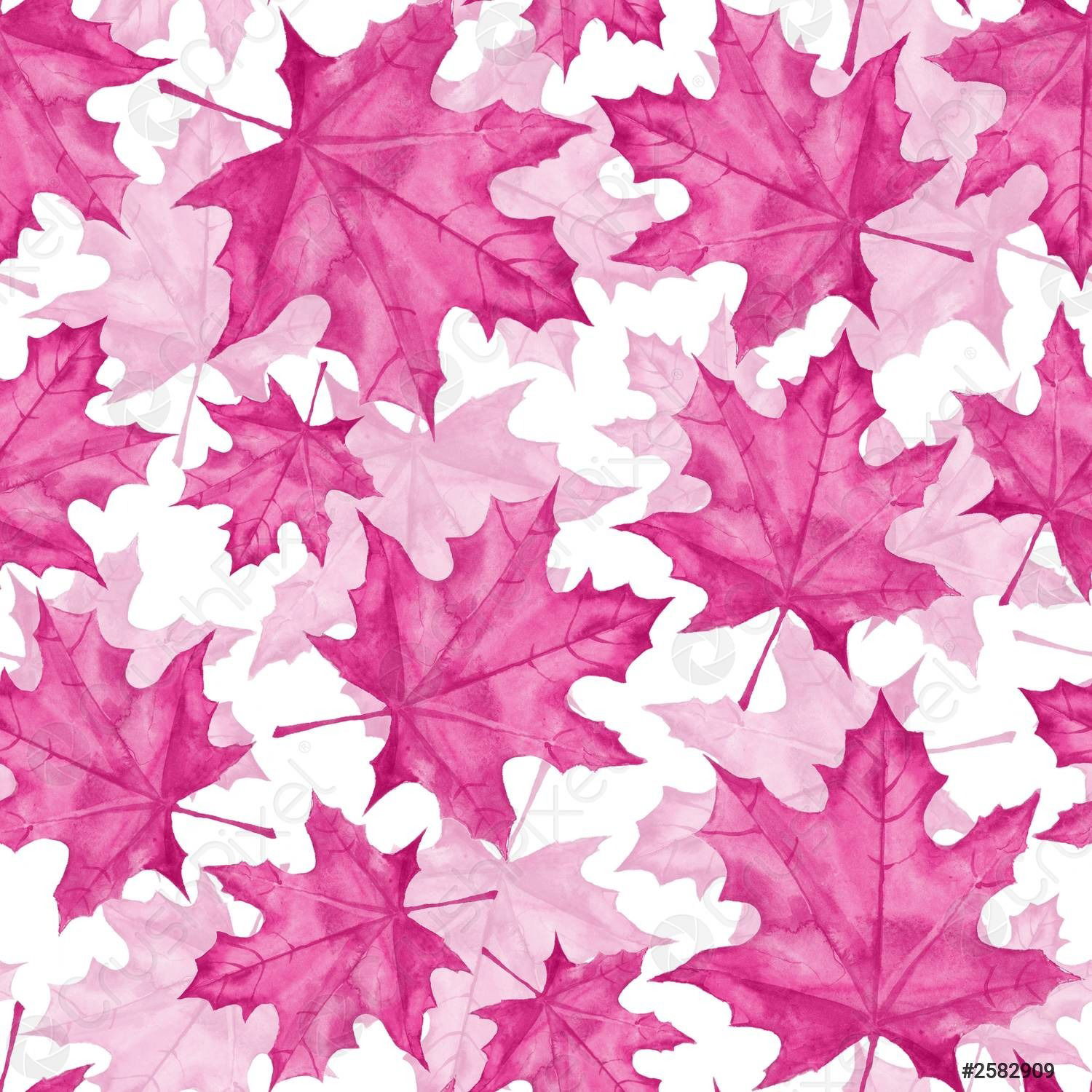 Maple Leigh profile banner