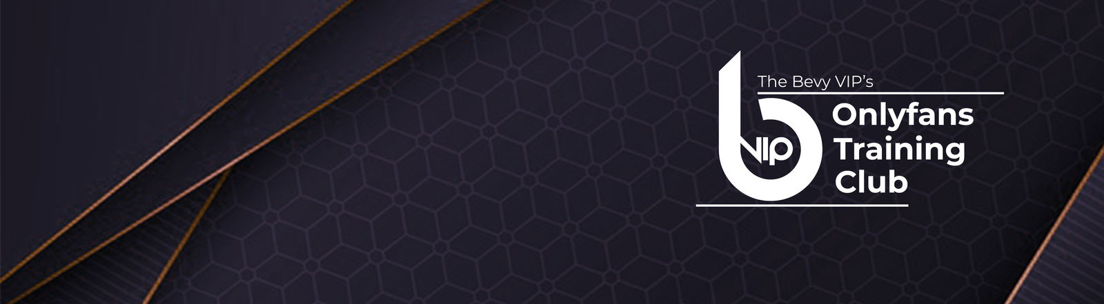 Sir Marcus Bev profile banner