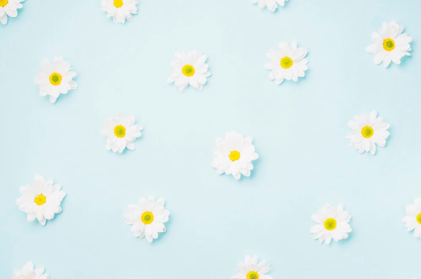 Mariana Gill 🧁🤍 profile banner