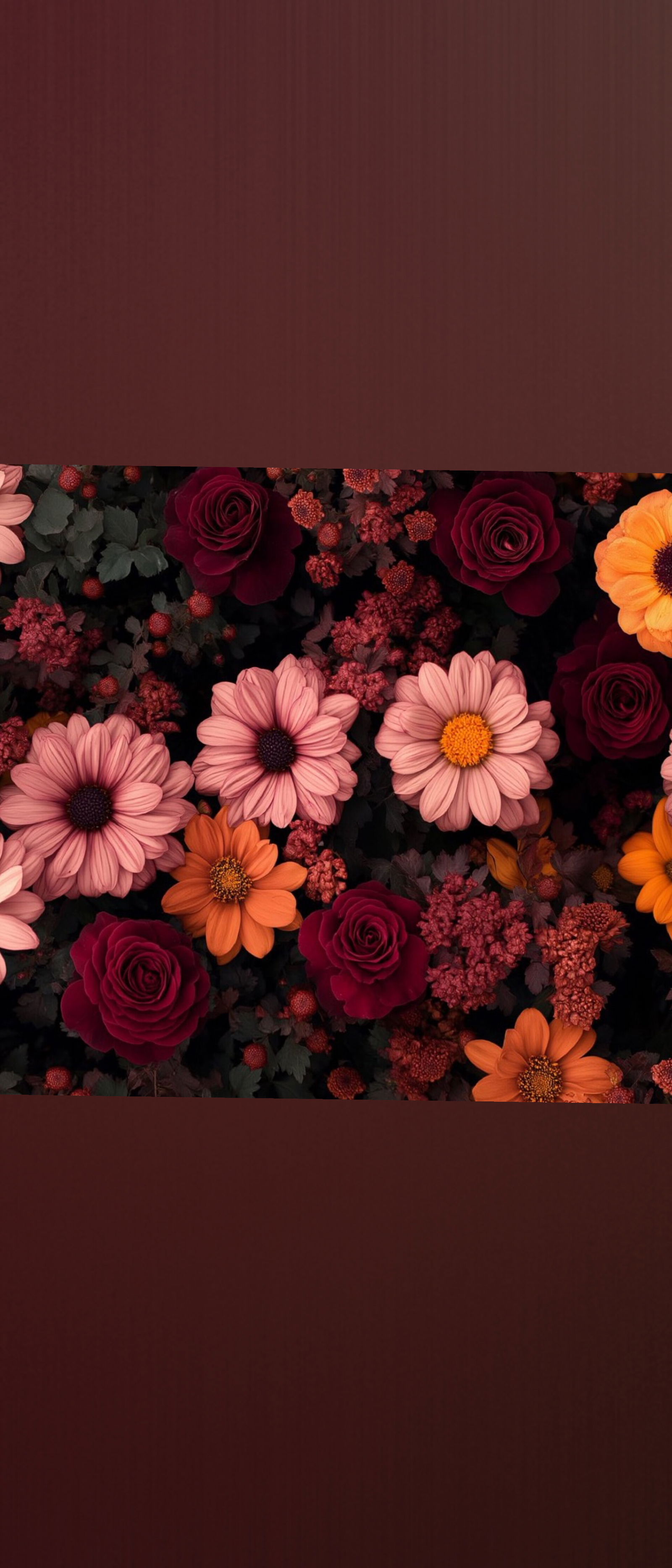 maryjan3clouds banner