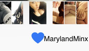 marylandminx banner