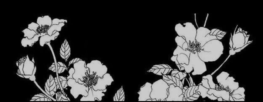 Mason Marley profile banner
