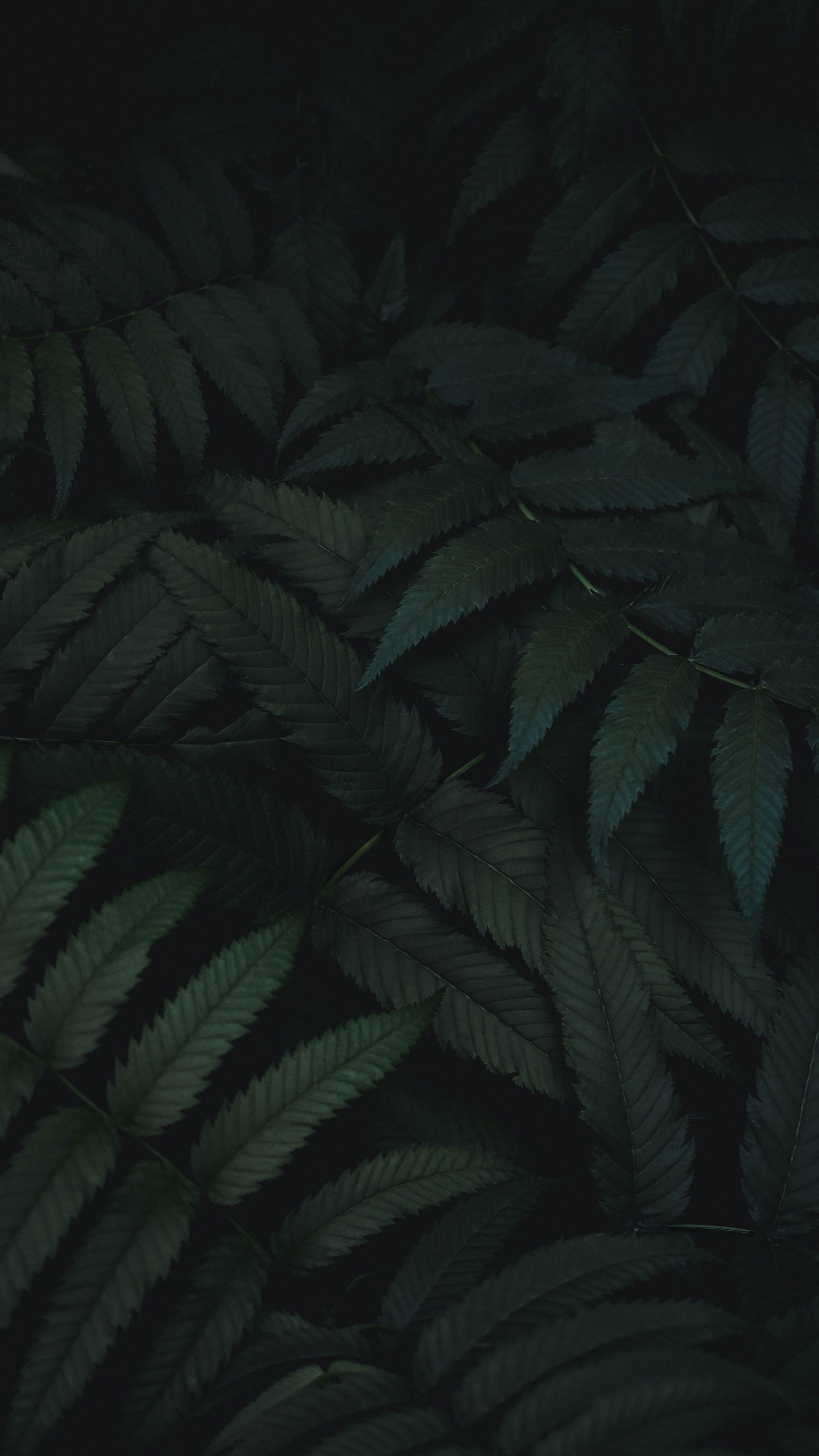 Matthieu Dubois profile banner