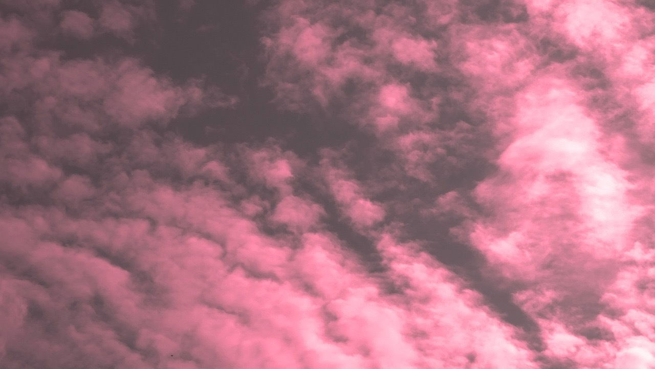 mauve profile banner