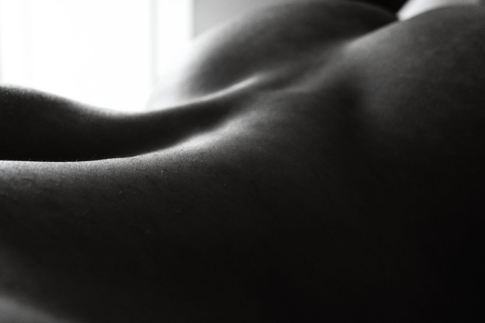 Maximus Adonis Photography profile banner