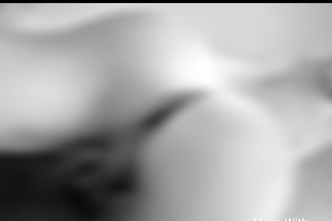MAX WOLFF profile banner