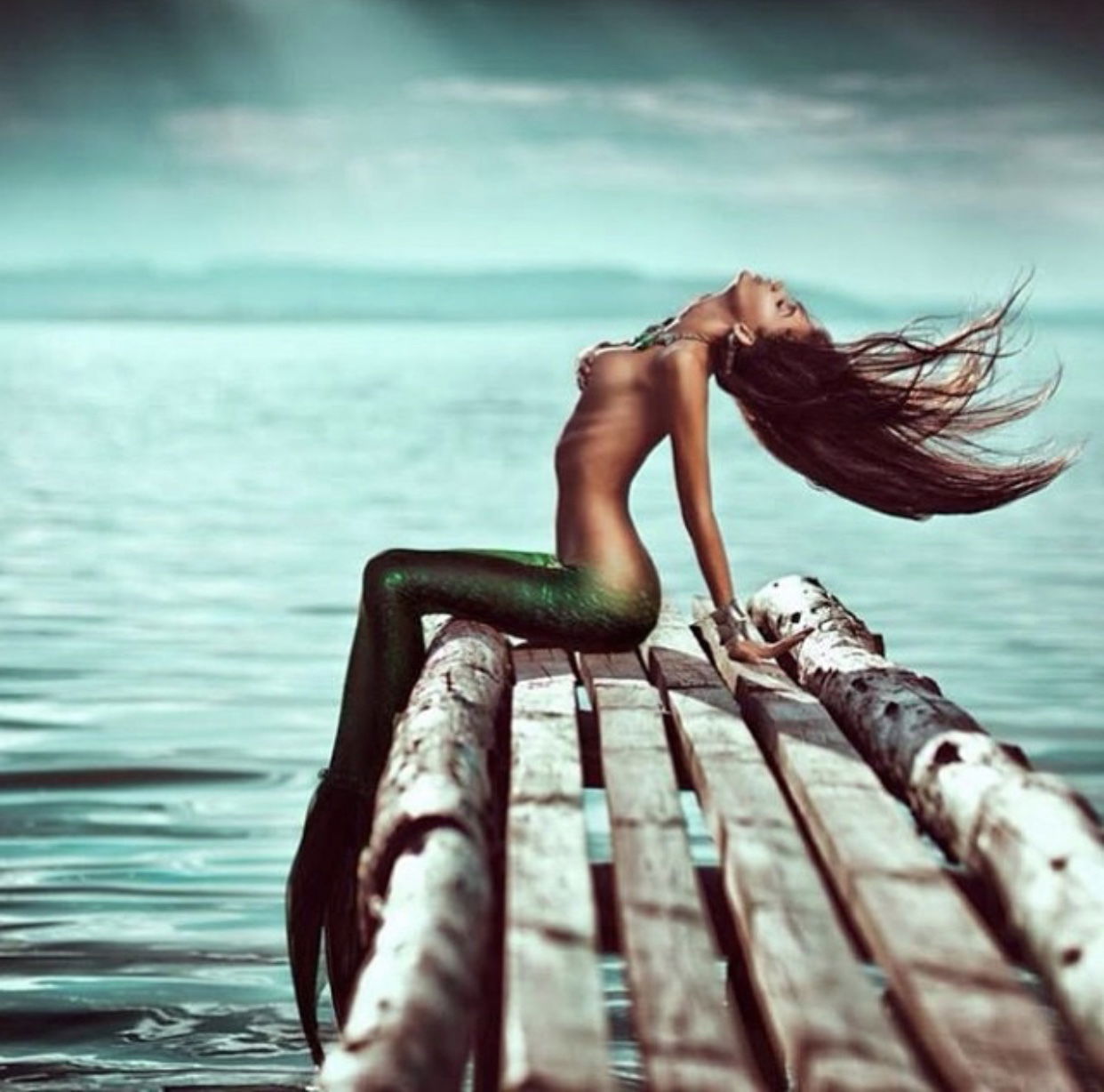 Maya abou rouphael profile banner