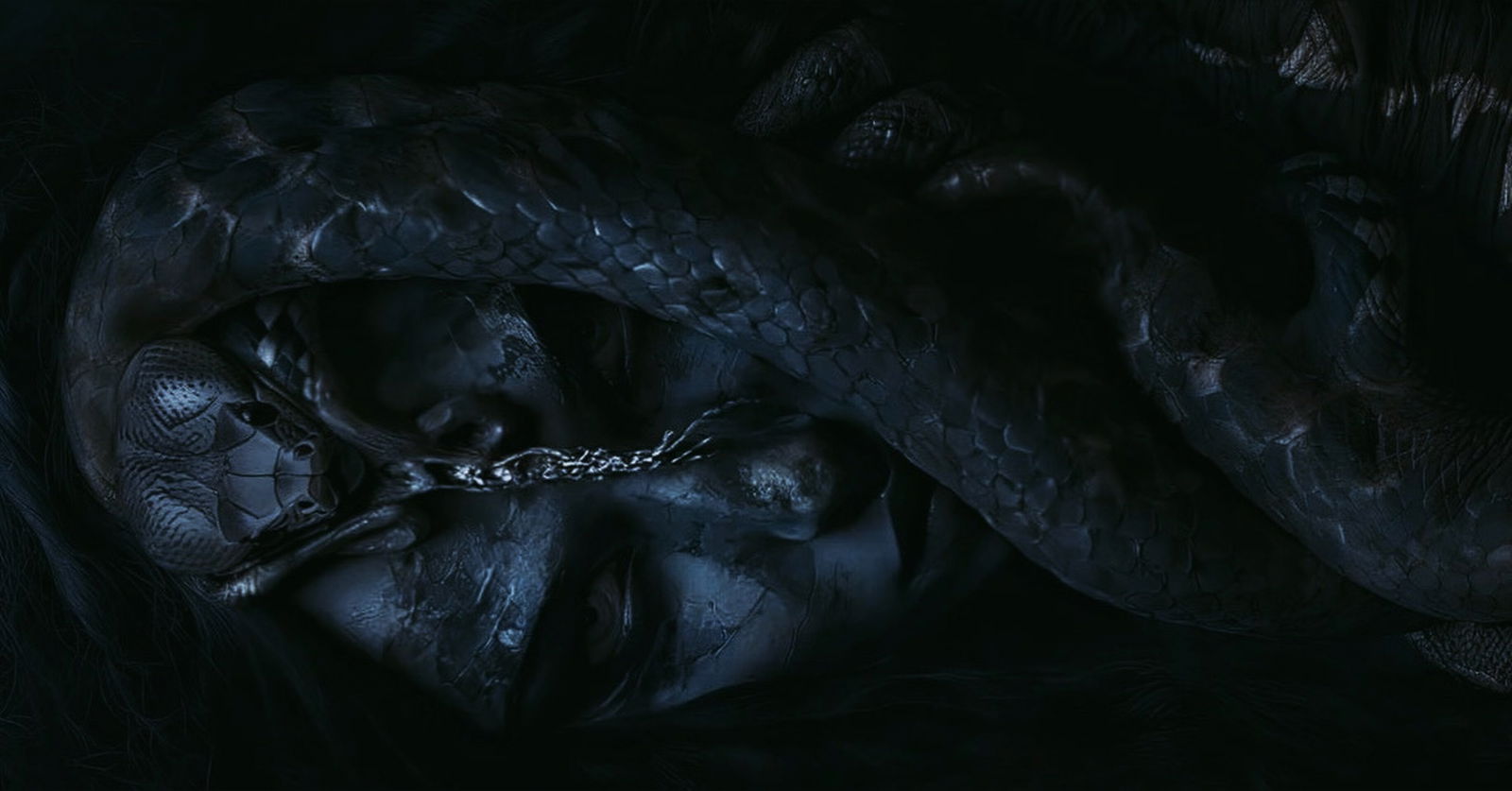 medussafoxx banner
