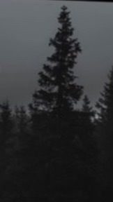 Medusa Muse profile banner