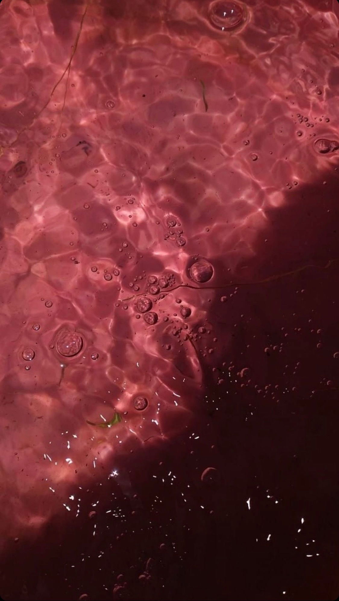 Meeky Queen profile banner