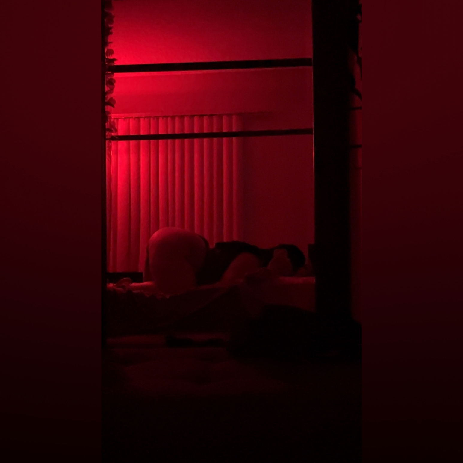 Lavina Monet profile banner