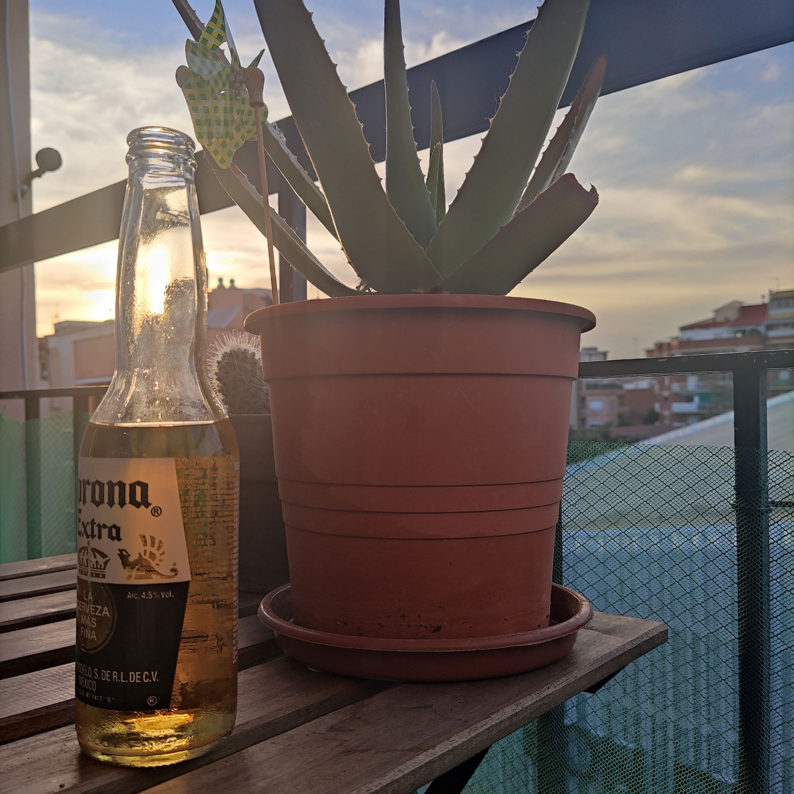 Menulo profile banner