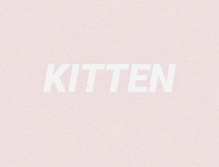 Kitten profile banner