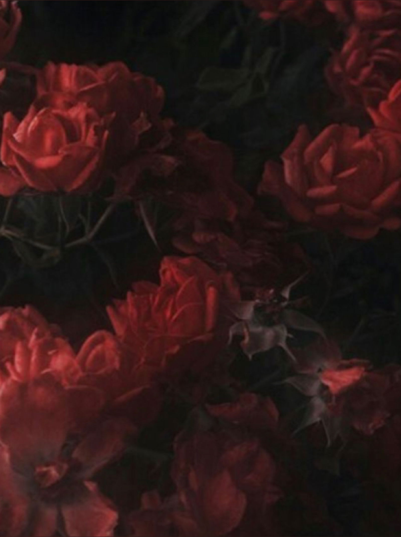 Michelle Grider profile banner