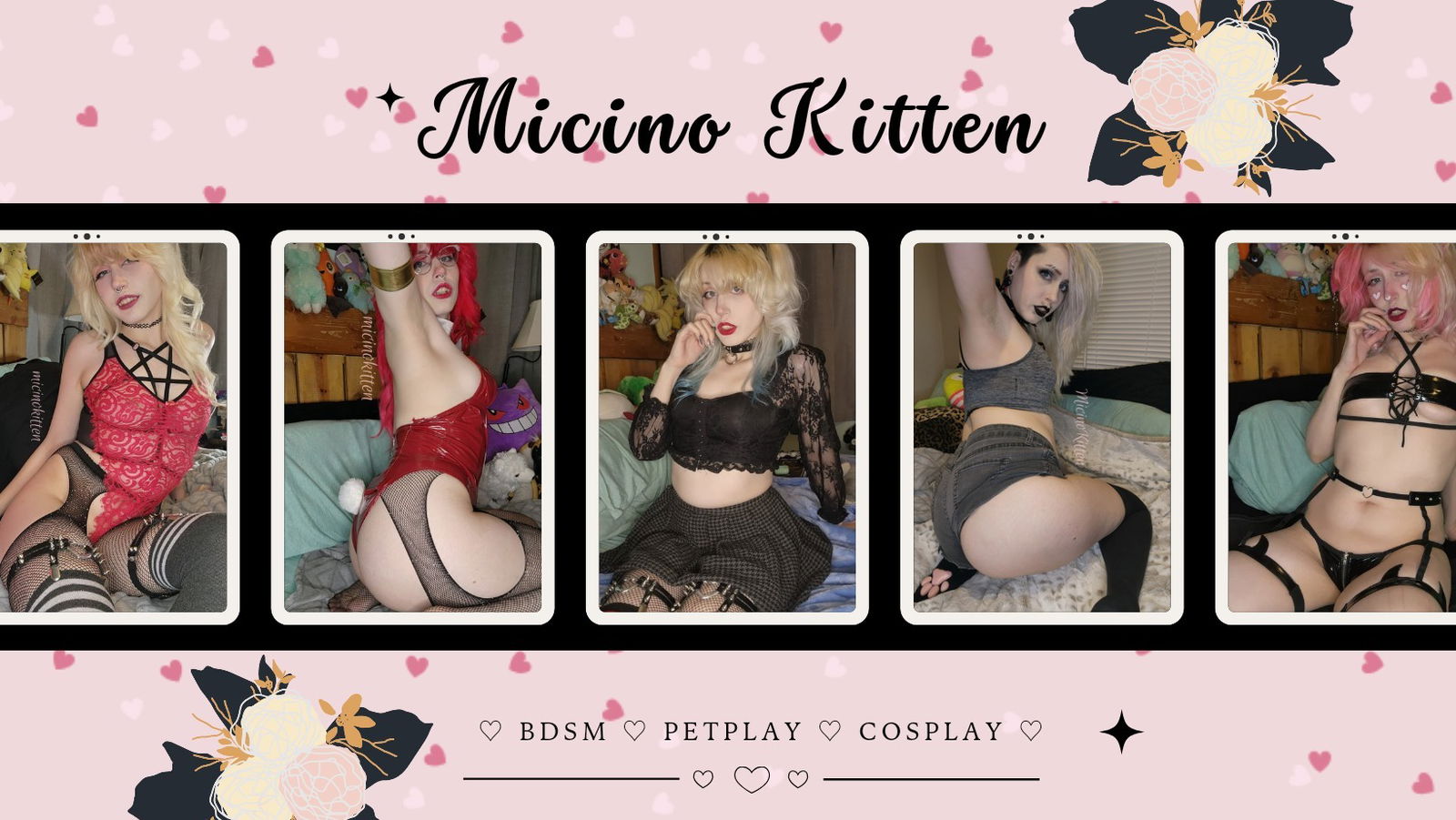 Micino Kitten 🖤 profile banner