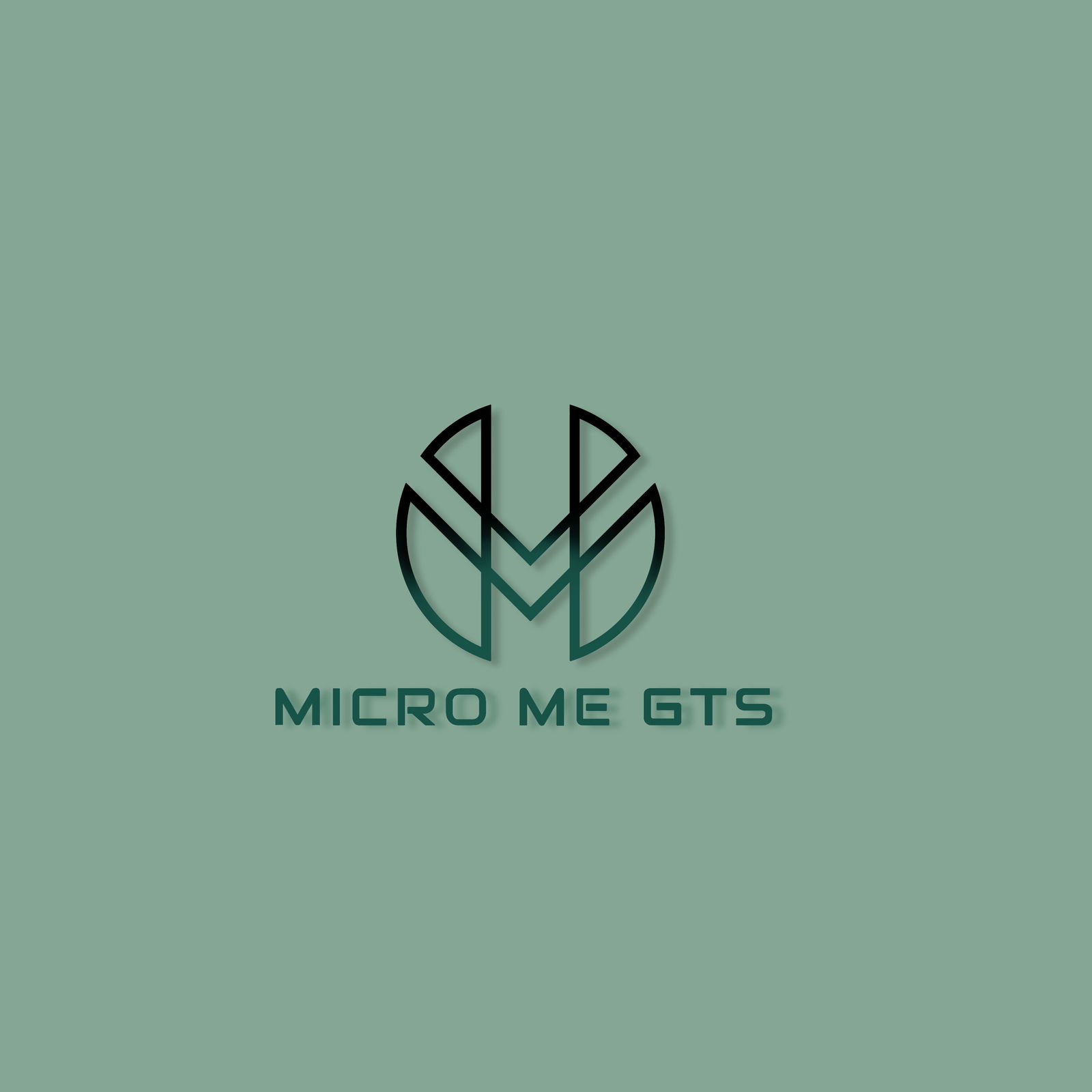 Micro Me GTS profile banner