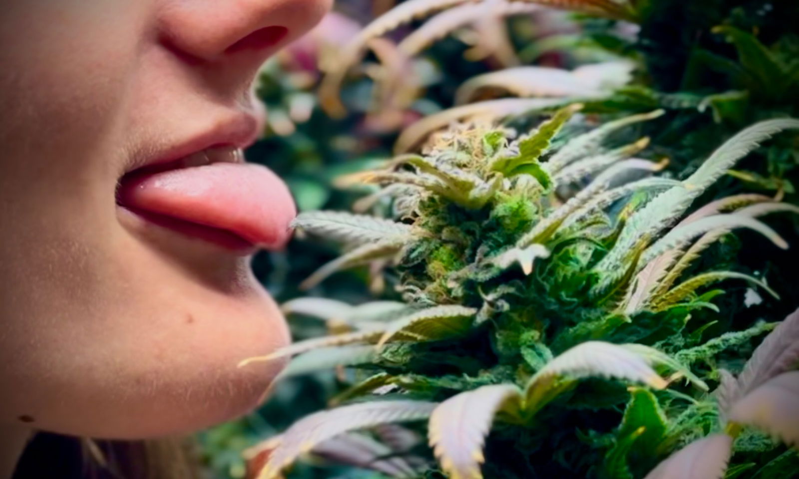 MaryJade💚 profile banner
