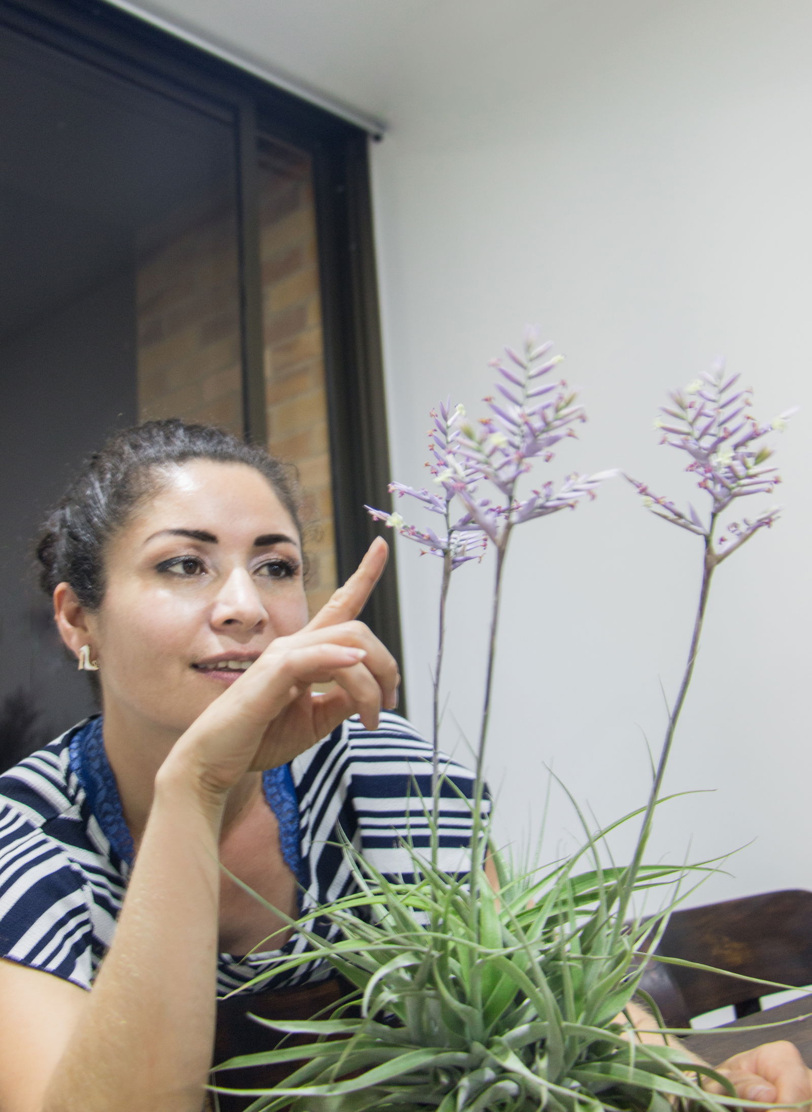 MilaDiosa profile banner