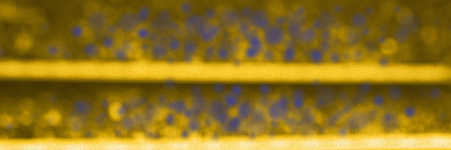 Miguel Millan profile banner