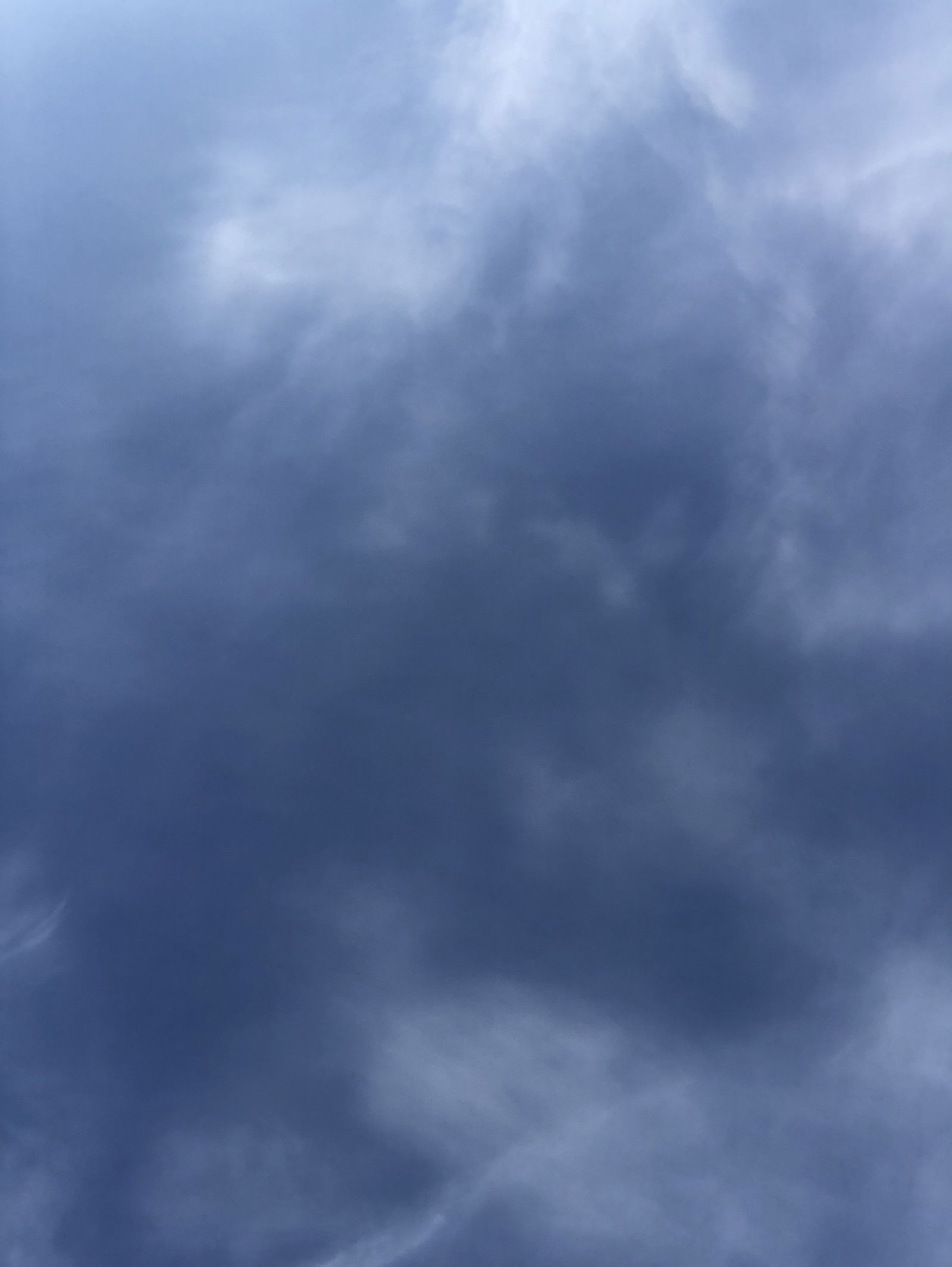 M profile banner