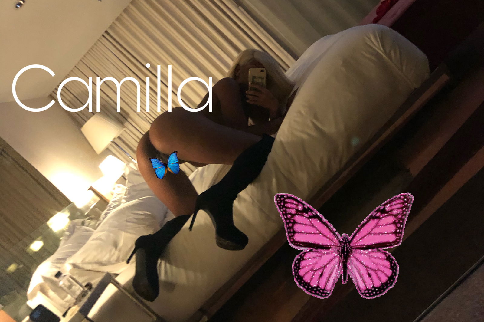 camilla rodriguez profile banner
