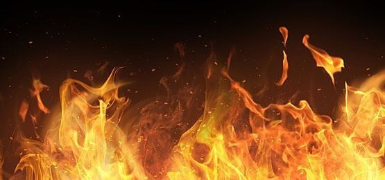 Mindy Rose πΉ profile banner