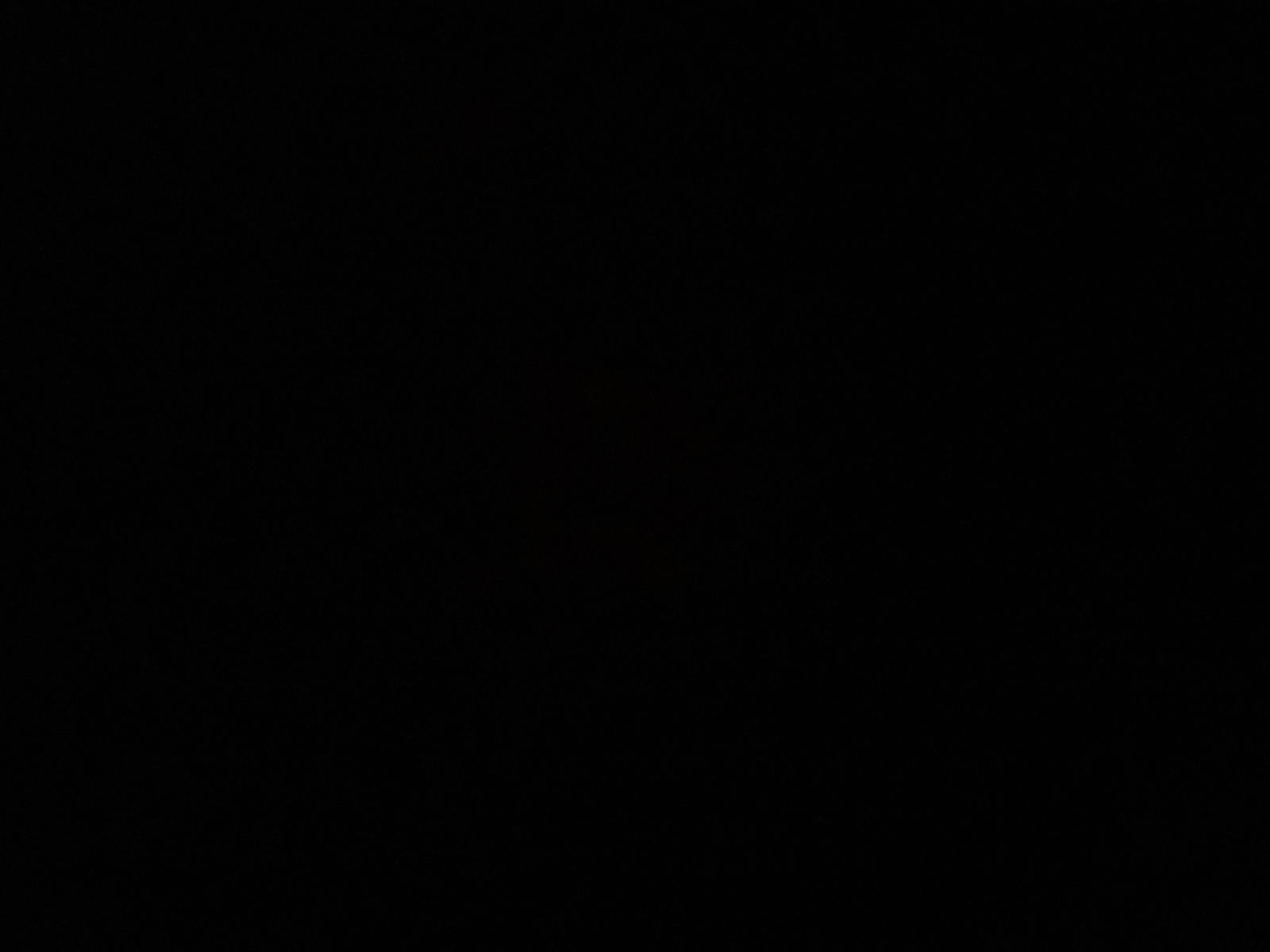 Minnie Tinsley FREE βΌοΈπ profile banner