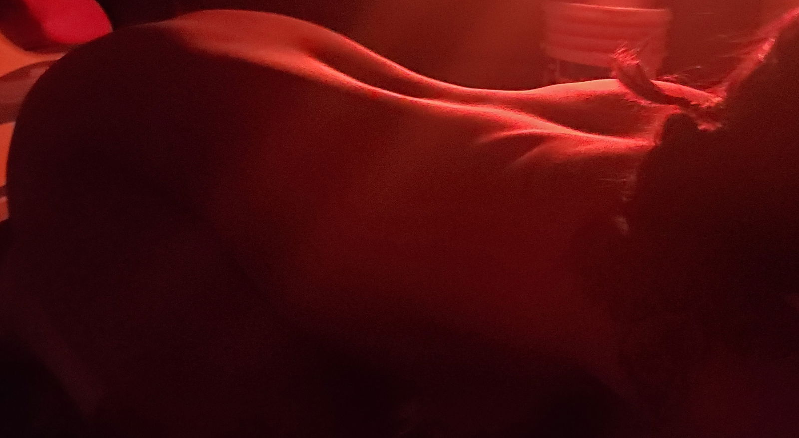Miss nasty profile banner