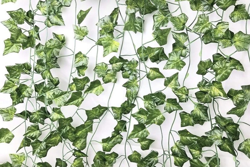 Care profile banner