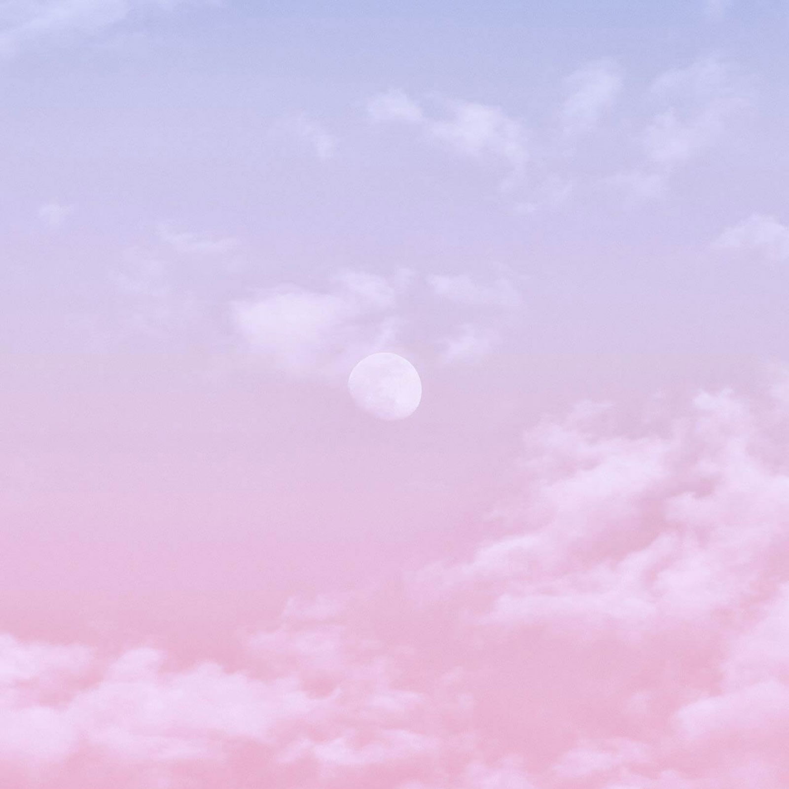 Miss Daygo profile banner