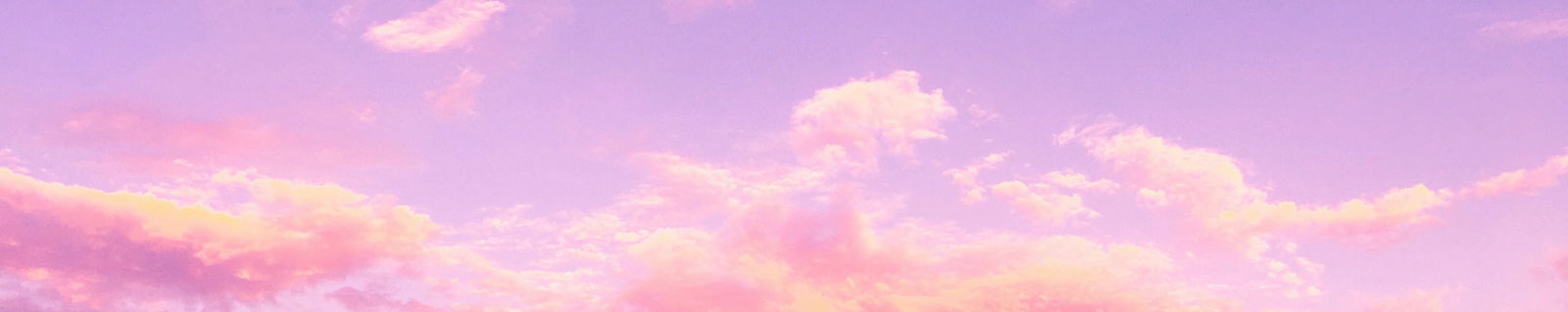 Miss Feetie profile banner