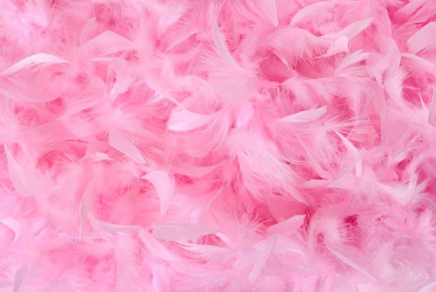 missfelicity banner
