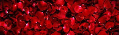 Miss Ink profile banner