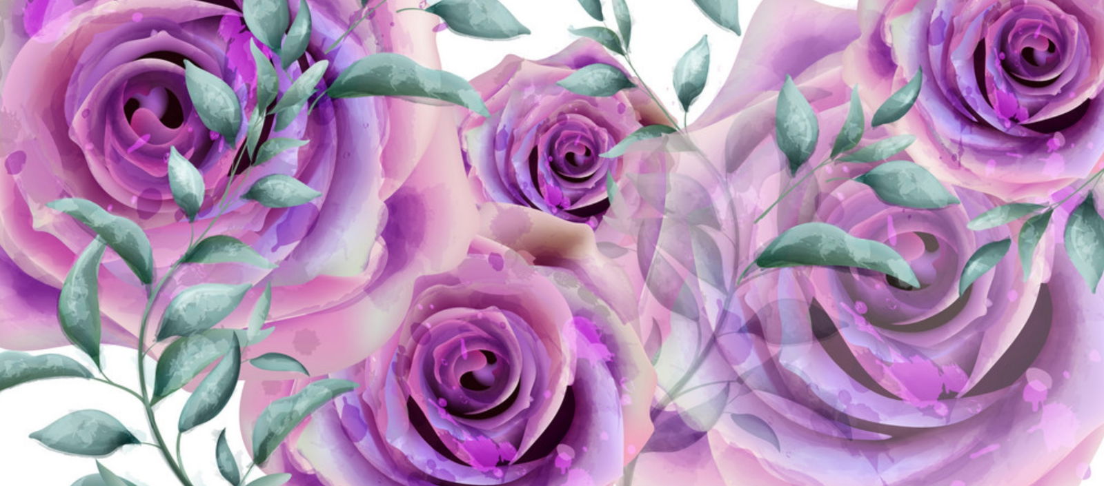 Miss Vera Rose profile banner