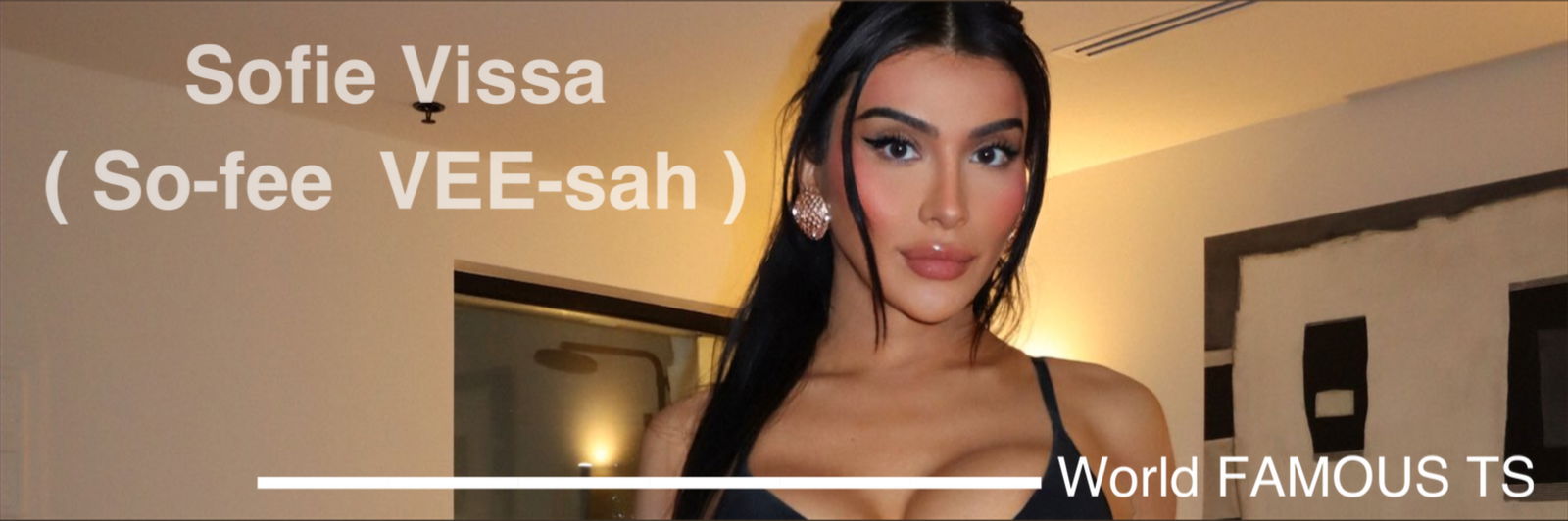 Vissa profile banner