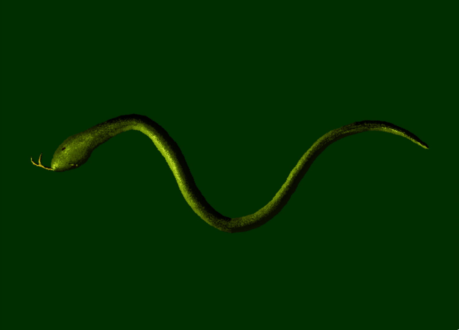 Karter profile banner
