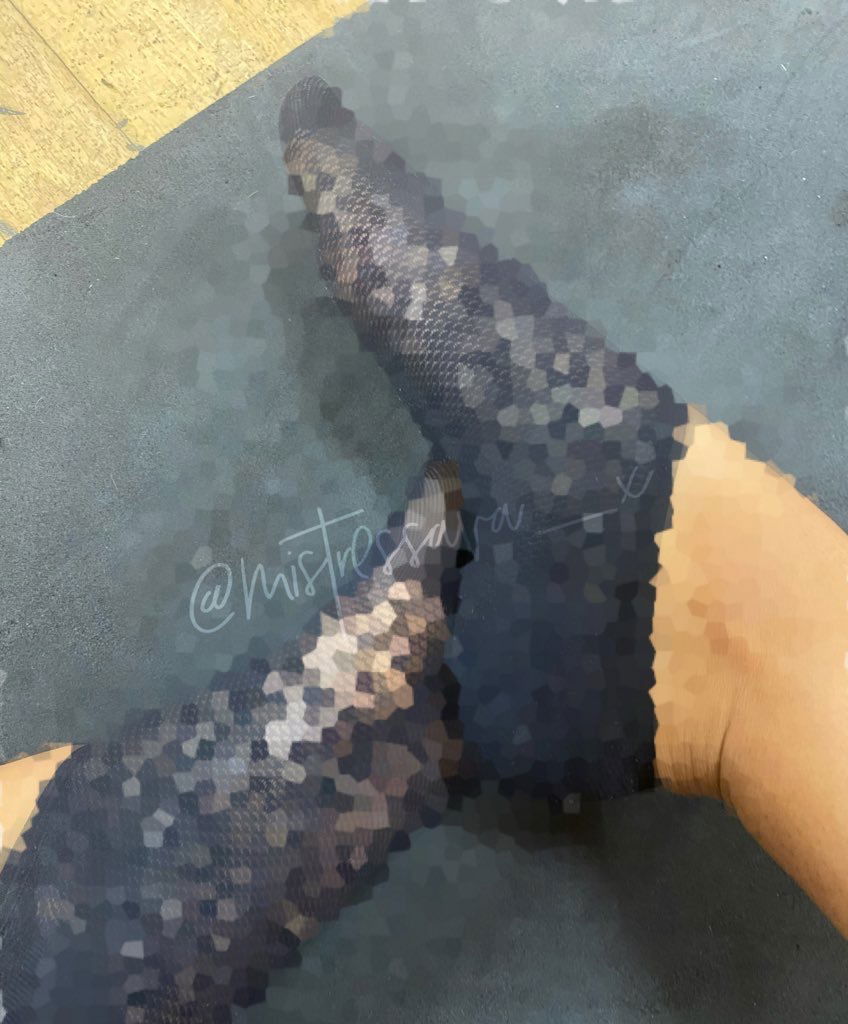 mistressava_x profile banner