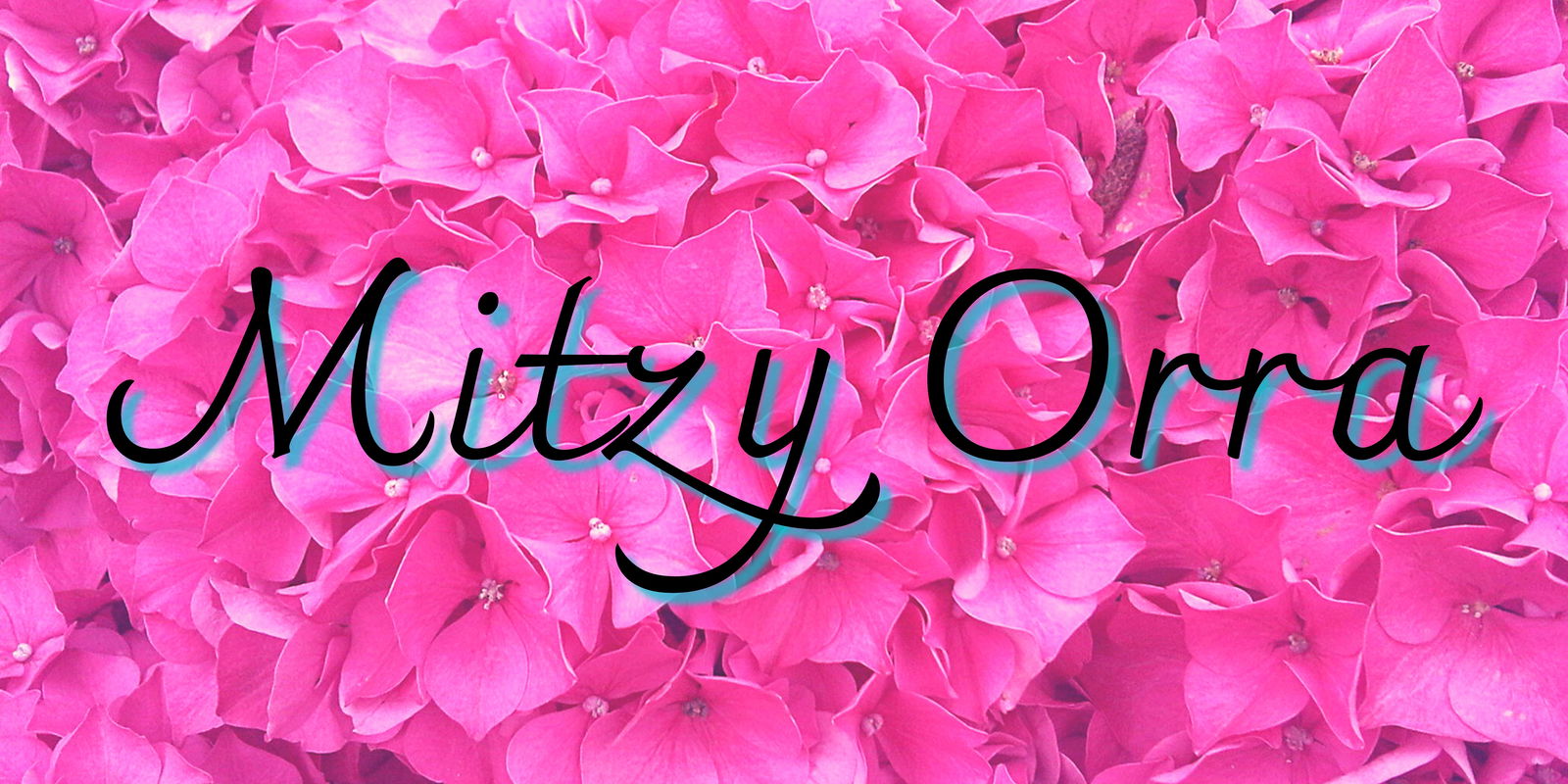 Mitzy Orra profile banner