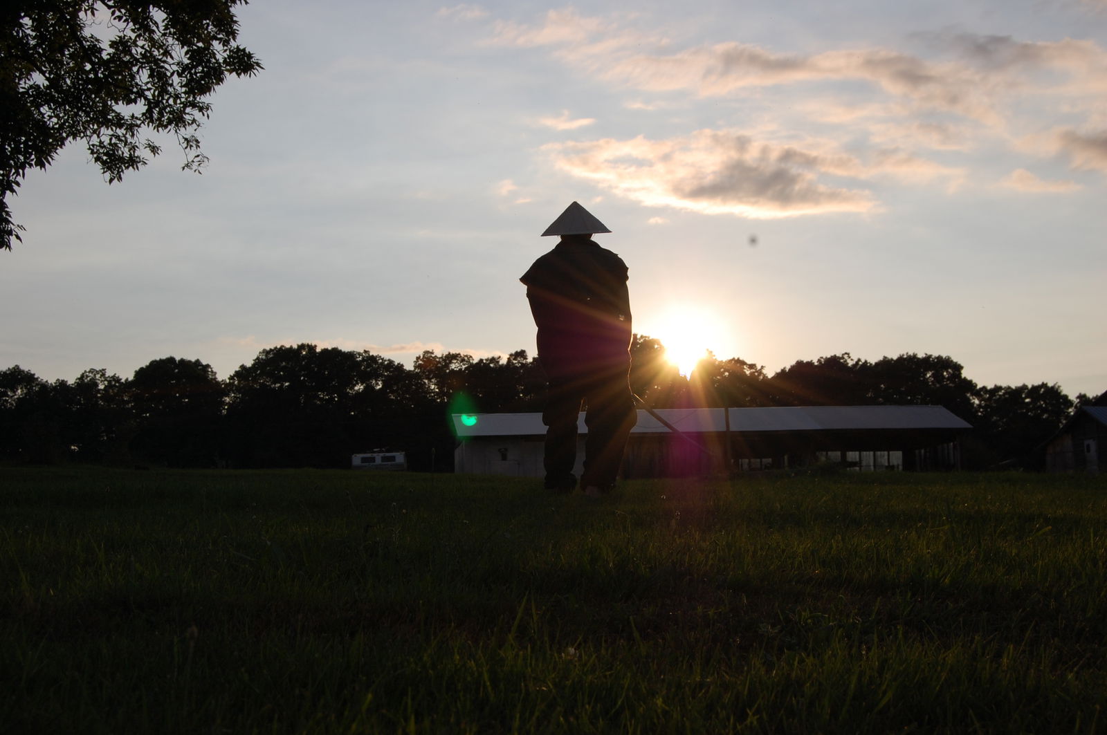 M. Lewis Motter profile banner
