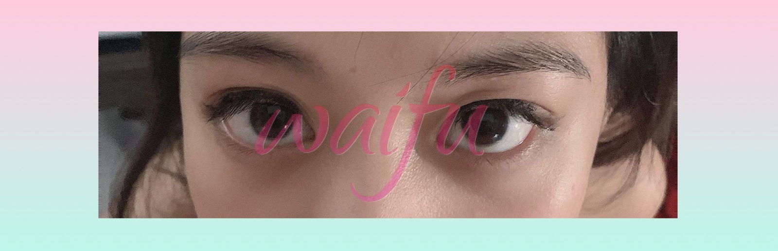 MollydooNeko ツ profile banner
