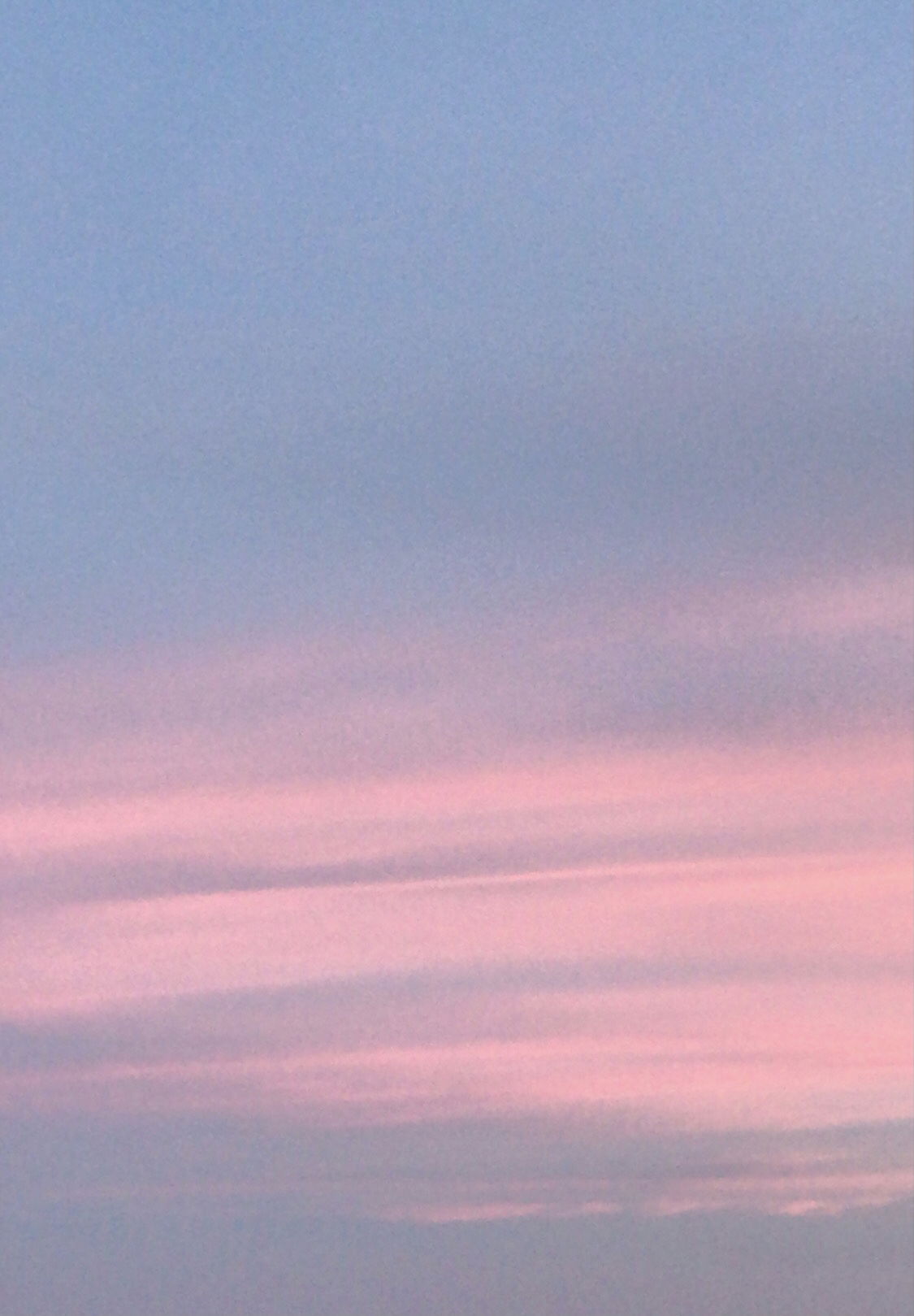 Molly profile banner