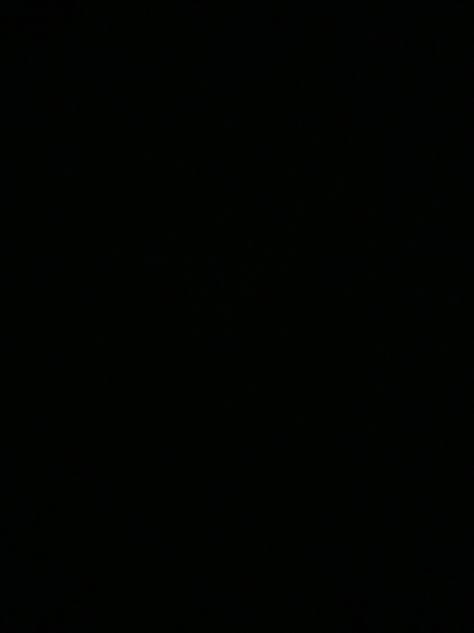 π€ profile banner