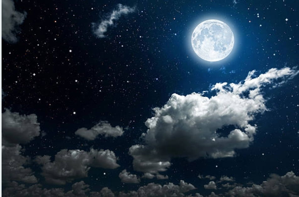 Moonlit Mistress profile banner