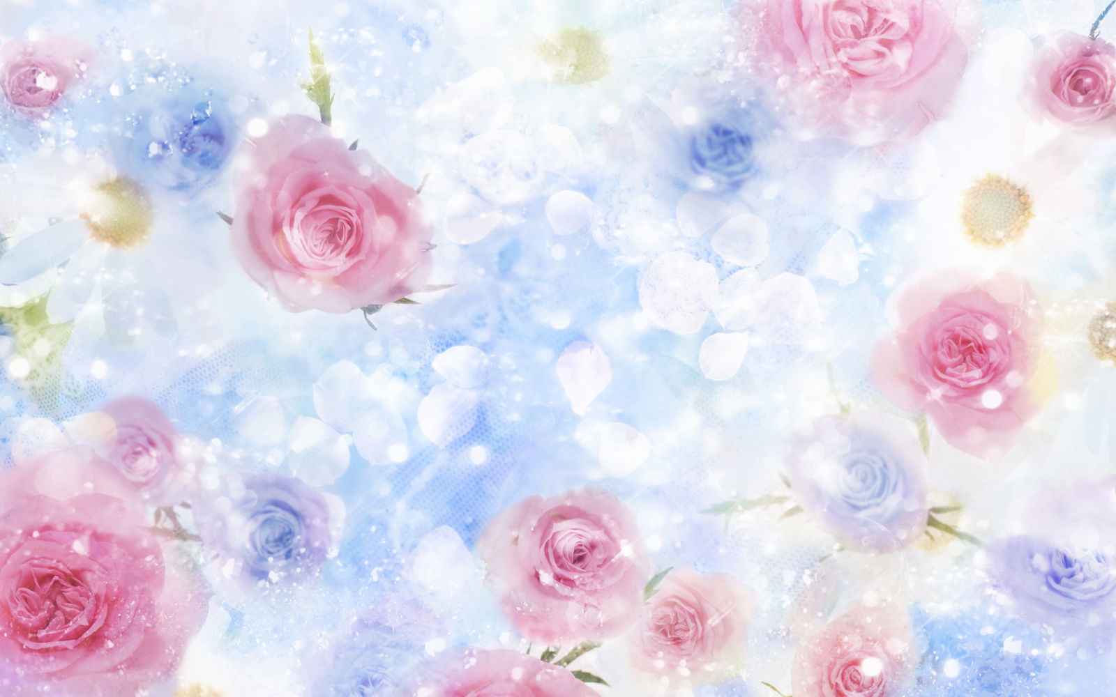 Paige profile banner