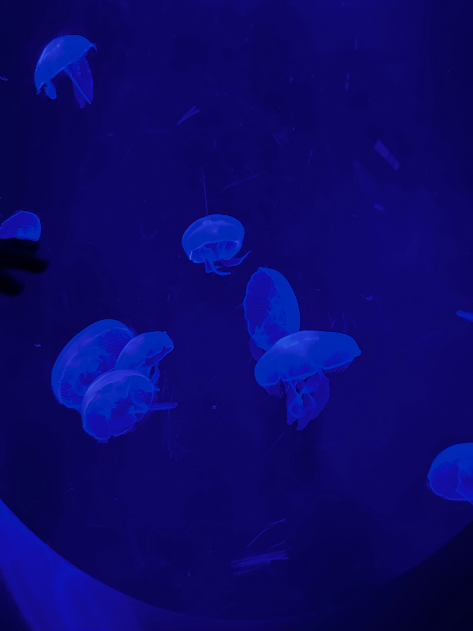 Sweet profile banner