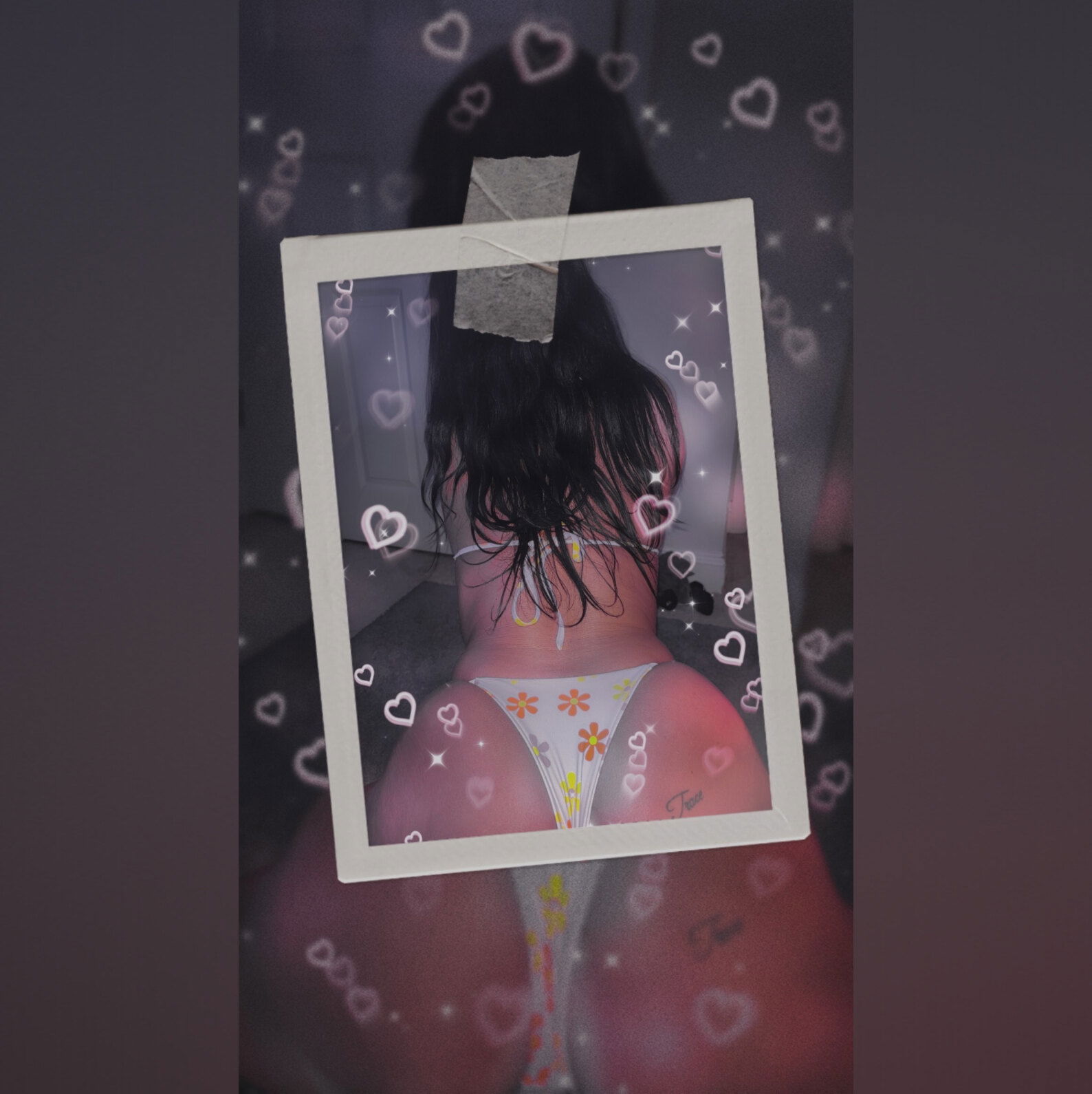 Morgie profile banner
