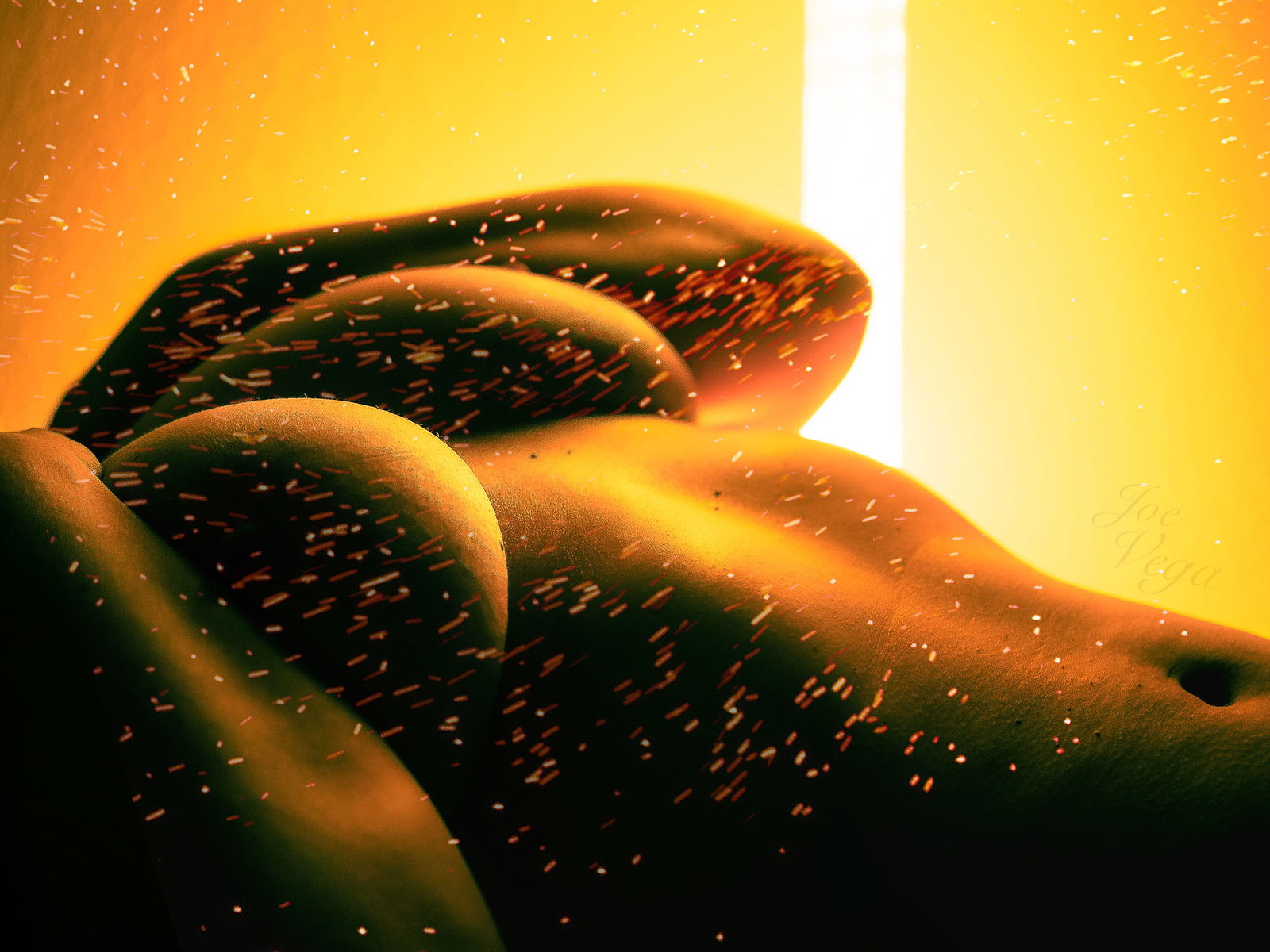 Joe Vega profile banner