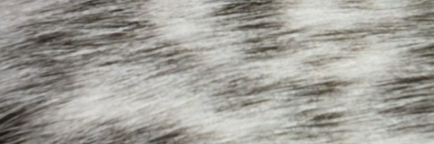 MrsOffKitty profile banner